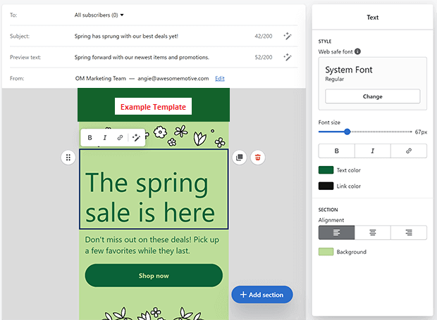 The "Editor" page on Shopify Email displaying a green email template design